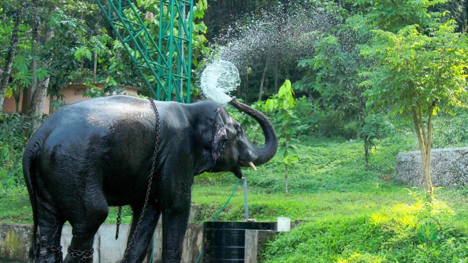 Villa Swasthi Griha Aranmula Exterior foto